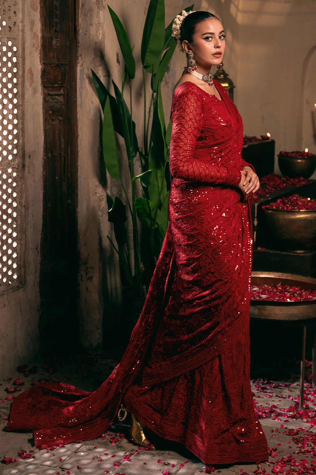 Opulent Embroidered Chiffon Saree